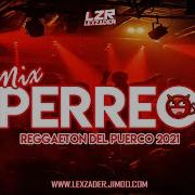 Reggaton Perrero 2021