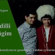 Merdan Nurgylyjow Arap Dilli Sowdugim