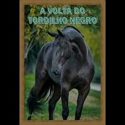 A Volta Do Tordilho