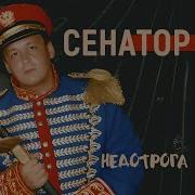 Недотрога Сенатор