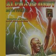 Alpha Blondy Politique