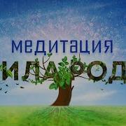 Медитация На Поддержку Рода