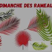 Bon Dimanche Des Rameaux