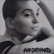 Talk To Me Now Ani Difranco