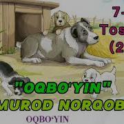 Normurod Norqobilov Oq Bo Yin