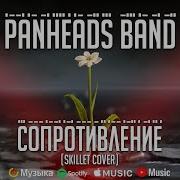 Сопротивление Panheads