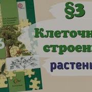 Биология 6 Класс 3 Параграф