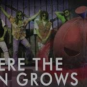 Where The Rain Grows Iron Maiden