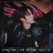 Hall Of Fame Skz Speed Up