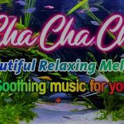 Instrumental Cha Cha