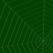 Spider Web For Green Screen Effect Chrome Key Футаж Паутина Хромакей