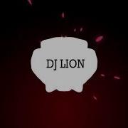 Dj Lion 2019