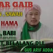 Doa Amalan Babi Dan Kera