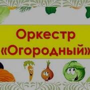 Шумовой Оркестр Огородный Для Детей