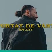 Smiley Purtat De Vant