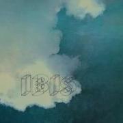 Ibis 1974