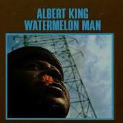 Watermelon Man Albert King