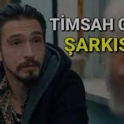 Çukur Timsah Celil Yeni Şarkı