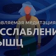 Динамическая Релаксация