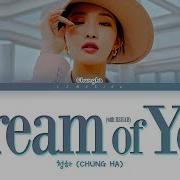 Dream Of You Lyrics