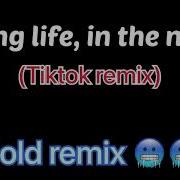 Living Life In The Night Remix Tiktok