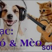 Cho Meo Song Ca