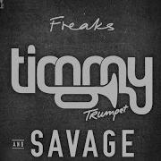 Timmy Trumpet Freaks Radio Edit