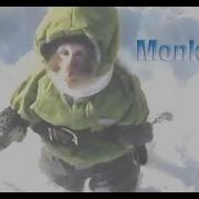 Funee Monkee