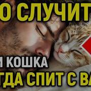 Как Девушка Спит С Котом Как Одна