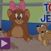 Tom And Jerry The Dog House Queen