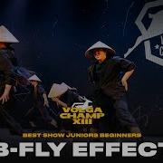 B Fly Effect