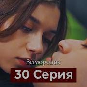 Зимородок 30 Серия