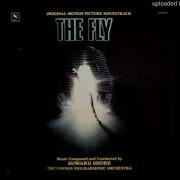 The Fly The Jump Howard Shore