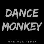 Dance Monkey Tones And I Marimba Remix Marimba Ringtone Mp3