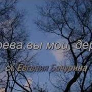 Дерева Вы Мои Дерева