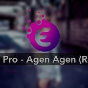 Elsen Pro Agen Agen