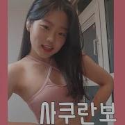 성인 사쿠란보