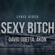 Sexy Bitch Feat Akon Full Song