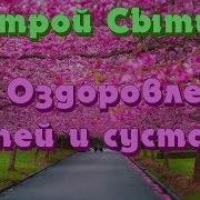 Оздоровление Костей И Суставов Настрой Г Н Сытина