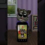 Talking Tom Sings Timber