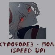 Полпути Электрофорез Speed Up