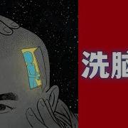 洗脑爱国粉