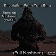 Tora Bora Sped Up