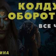 Псы Черного Колдуна