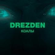 Drezden Коалы