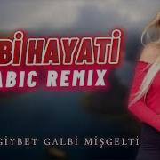 Arabic Remix Teebat Galbi