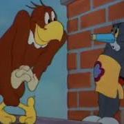 Tom And Jerry Flirty Birdy