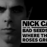 Where The Wild Roses Grow 2011 Remastered Version Nick Cave The Bad Seeds Kylie Minogue