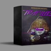 Traplife 2 Nexus Trap Expansion Drum Kit Free Download