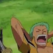 One Piece Op Die Reise Beginnt